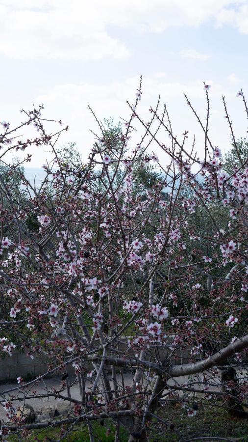 Salignano La Mennula Gardenアパートメント エクステリア 写真